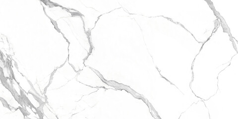 Abstract white marble background and creative grey veining pattern, interior and architectural...