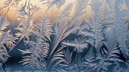 Frosty patterns on glass illuminated by soft sunlight.