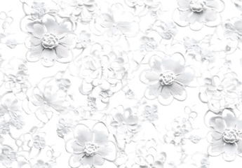 Delicate White Lace on Clear Background: Textile Art