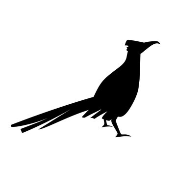 recommend clip art: Roadrunner Icon or Roadrunner Bird Silhouette Illustration