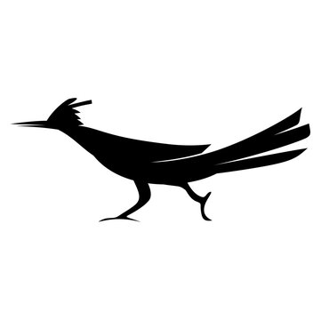 recommend clip art: Roadrunner Icon or Roadrunner Bird Silhouette Illustration