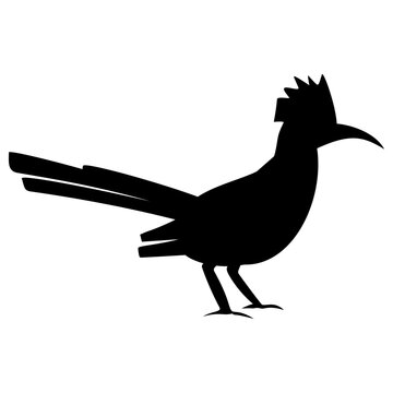 recommend clip art: Roadrunner Icon or Roadrunner Bird Silhouette Illustration