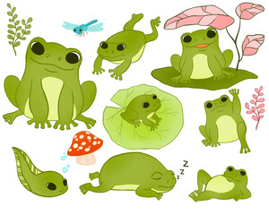 set of cartoon frogs