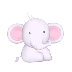 cute baby elephant sitting illustration isolated