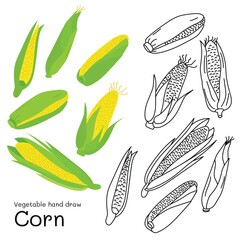 Corn doodle vegetable hand drawn outline and colors for kid, Package, labels Design element. Vector illustration