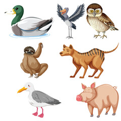 Bird,cat,wing,toucan, animal vector set 