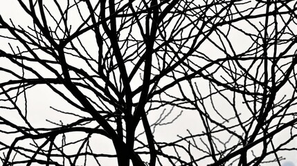 Generative AI, This image captures the essence of minimalist nature, featuring a single tree standing alone in a vast, featureless white space