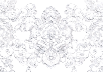 Floral White Lace Design on Transparent Background