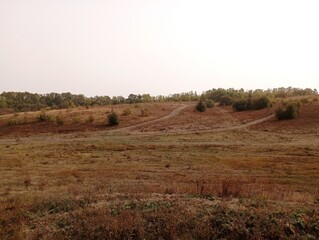 Beautiful field landscape with field dirt roads going up hills in autumn steppe with dry grasses and lonely bushes and trees.