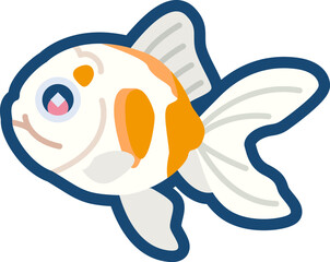 かわいい金魚（ジャンボ桜東錦）のイラスト
