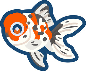 かわいい金魚（東錦）のイラスト