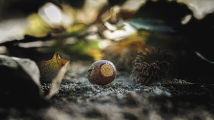 Herbst