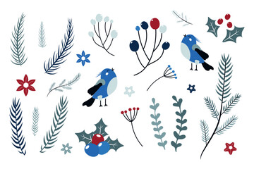 A set of hand-drawn winter plants and birds. Christmas collection on a white background. Vector.