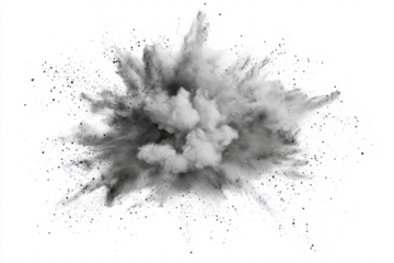 A surreal explosion of soft dust particles, creating a swirling cloud effect with shades of gray on white.