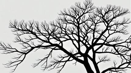 Obraz premium Generative AI, This image captures the essence of minimalist nature, featuring a single tree standing alone in a vast, featureless white space