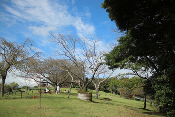 Fototapeta premium 吾妻山公園