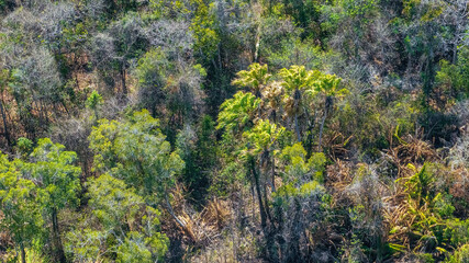 Aerial view Phuoc Buu Nature Reserve at Ba Ria Vung Tau. Concept travel trip in Vietnam nature beautiful landmark.