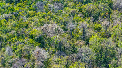 Aerial view Phuoc Buu Nature Reserve at Ba Ria Vung Tau. Concept travel trip in Vietnam nature beautiful landmark.