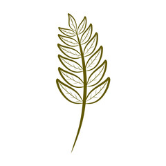 minimal botanical graphic sketch drawing, trendy tiny tattoo design, floral elements vector illustration