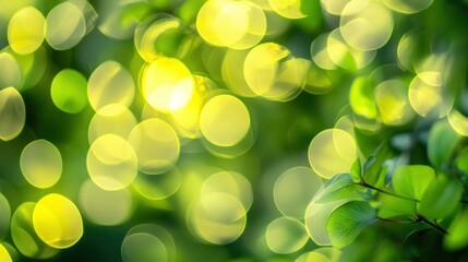 Abstract Green Leaf Background with Bokeh Circles