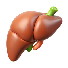 Human Organs Liver  3d cartoon style illustration