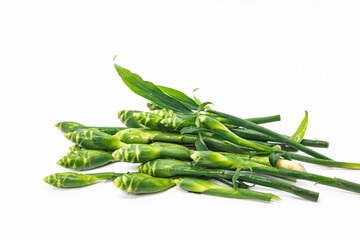 The green ginger flower is a fragrant, edible tropical vegetable.