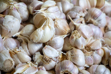 Fresh Organic Garlic Bulbs - Perfect for Culinary and Medicinal Uses