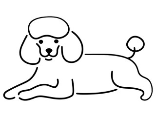 Obraz premium だらしないポーズでリラックスしているトイプードルの子犬のシンプルな線画イラスト 透過背景の切り抜き