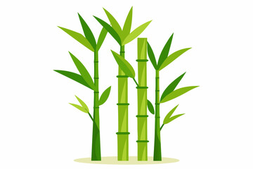 Fototapeta premium Bamboo Plants vector illustration 