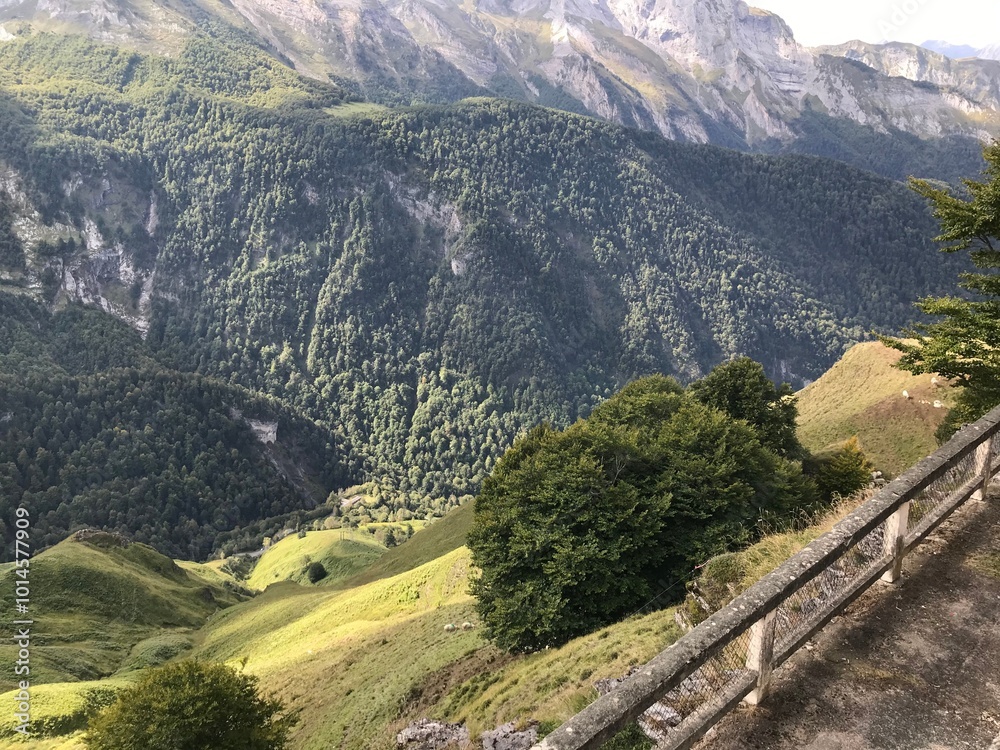 Wall mural pyrenees nature landscape from the road