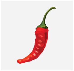 hot chili pepper. cartoon style vector. hot red chili illustration for natural organic food