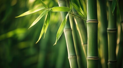 A close-up of bamboo stalks showing the unique textures and shades of green, with delicate leaves fluttering in the breeze, capturing simplicity and beauty