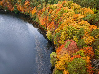 Autumn colorful forest and small river in Poland, Europe.