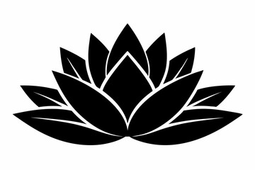 Agave, Agave plant silhouette vector, Cactus vector icon