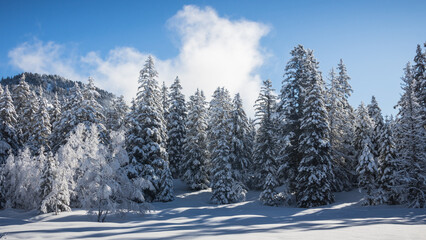 paysage alpin, alpes, Chamrousse en hiver après chutes de neige, paysage, nature