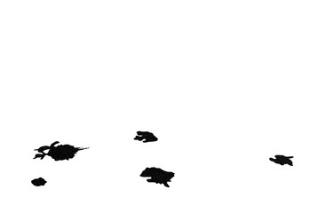 Blots drops of bright black ink, 3d side view. Isolated transparent background.