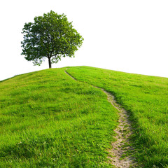 Fototapeta premium Green Hill with Single Tree and Winding Pathway in Nature.