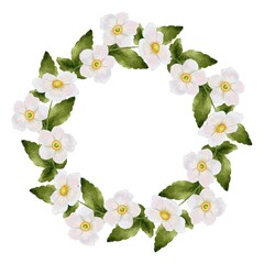 Round frame wreath of white anemone flowers. Watercolor illustration on white background. typography printing, textiles 