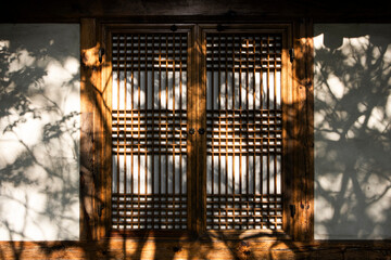 The shadows of leaves are reflected on the square doors of a Hanok house like a painting.한옥집 네모난 문살에 나뭇잎 그림자가 그림처럼 비추고있습니다.