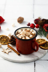Homemade hot chocolate with marshmallow