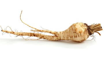 Fototapeta premium Parsnip root isolated on white background