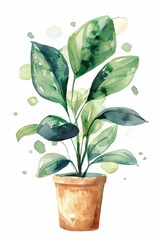Beautiful watercolor illustration of a potted green plant with broad leaves, perfect for home decor, botanical themes, and nature-inspired designs.