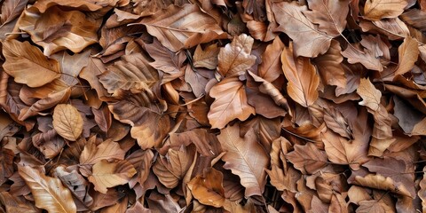 Close-up of dried autumn leaves in shades of brown. Natural texture background.