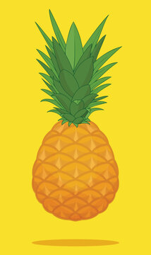 tasty color pineapple vector illustration