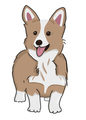 cute smiling  Corgi  dog  standing cartoon character illustration drawing on white background.