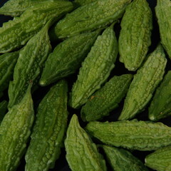 Momordica charantia fruit or (Peria, Bitter Gourd, Bitter Melon, Bitter Cucumber, Balsam Pear, Leprosy Gourd, Pare) on a black background