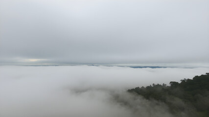 Fototapeta premium A cloudy sky with dense fog rolling in from the horizon, partially covering the tops of trees and mountains with a serene, muted feel 