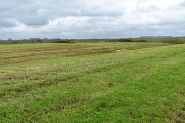 wet meadow landscape behind the north sea dunes