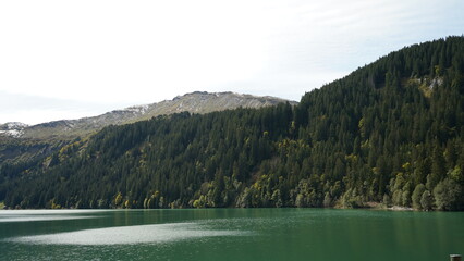 Autumn Serenity at Arnensee Switzerland 