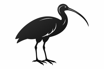 Ibis bird black silhouette, Spoonbill Vector, ibis bird animal vector illustration